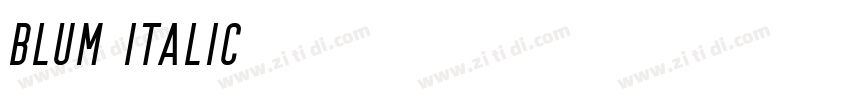 Blum Italic字体转换